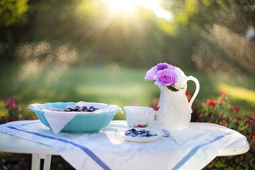 Blueberry, Breakfast, Sunlight, Food