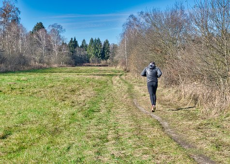 Meadow, Trail, Jogging, Running, Fitness