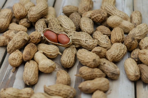 Peanuts, Nuts, Food, Diet, Macro