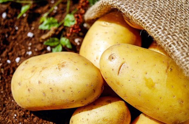 Free Potatoes Vegetable photo and picture